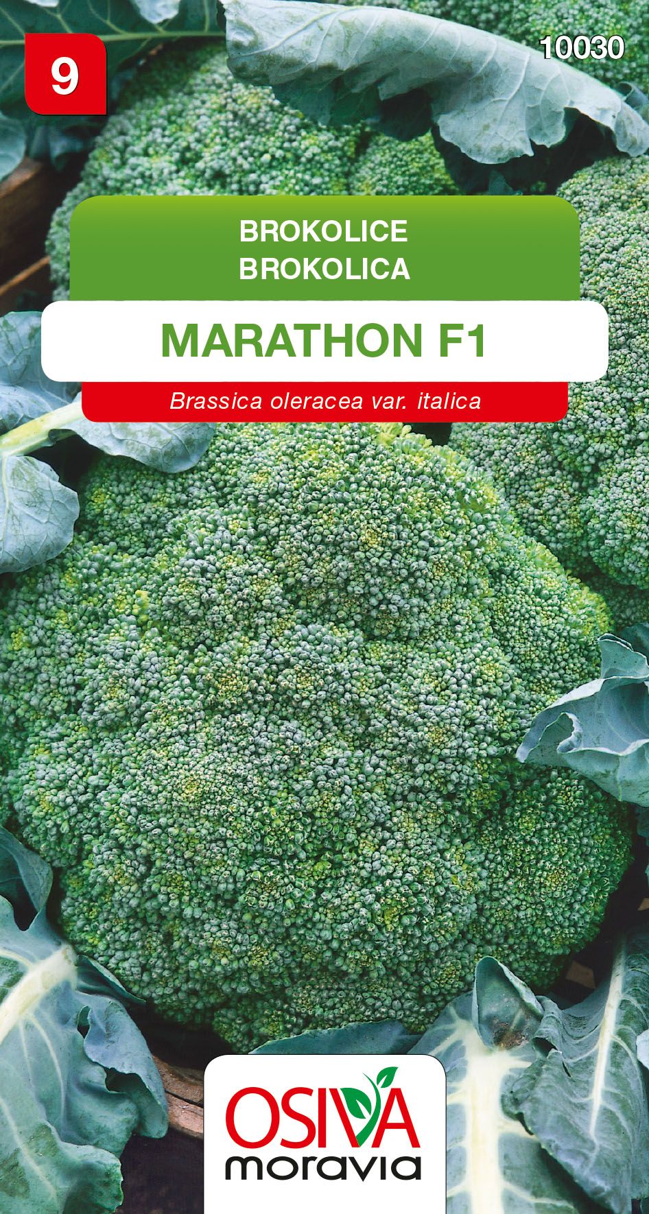 Brokolice - Marathon F1