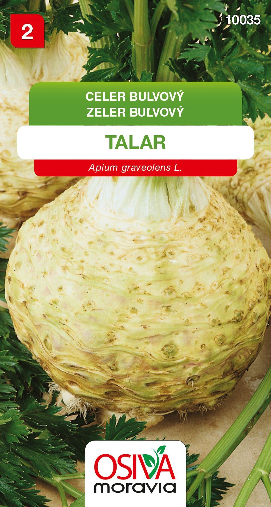 Celer bulvový - Talar