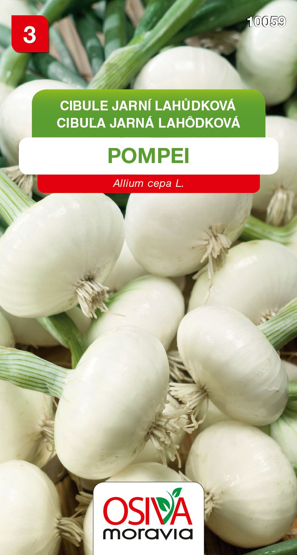 Cibule kuchyňská - Pompei
