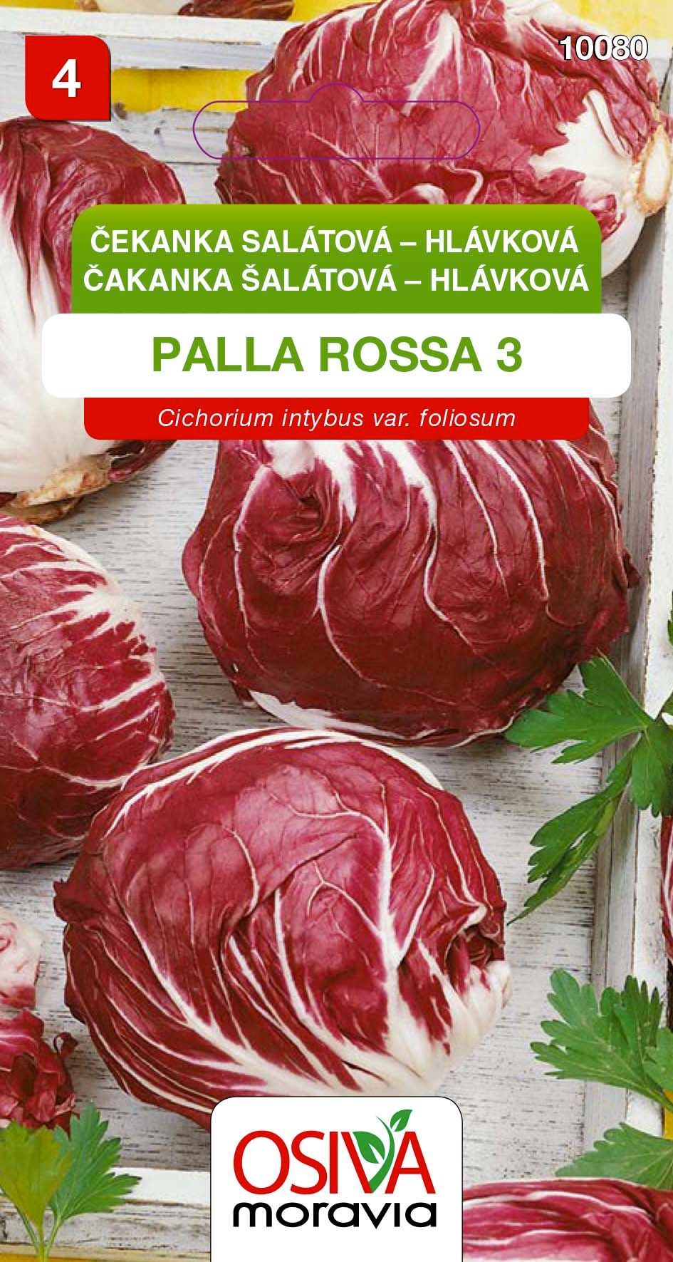 Čekanka salátová - hlávková - Palla Rossa 3