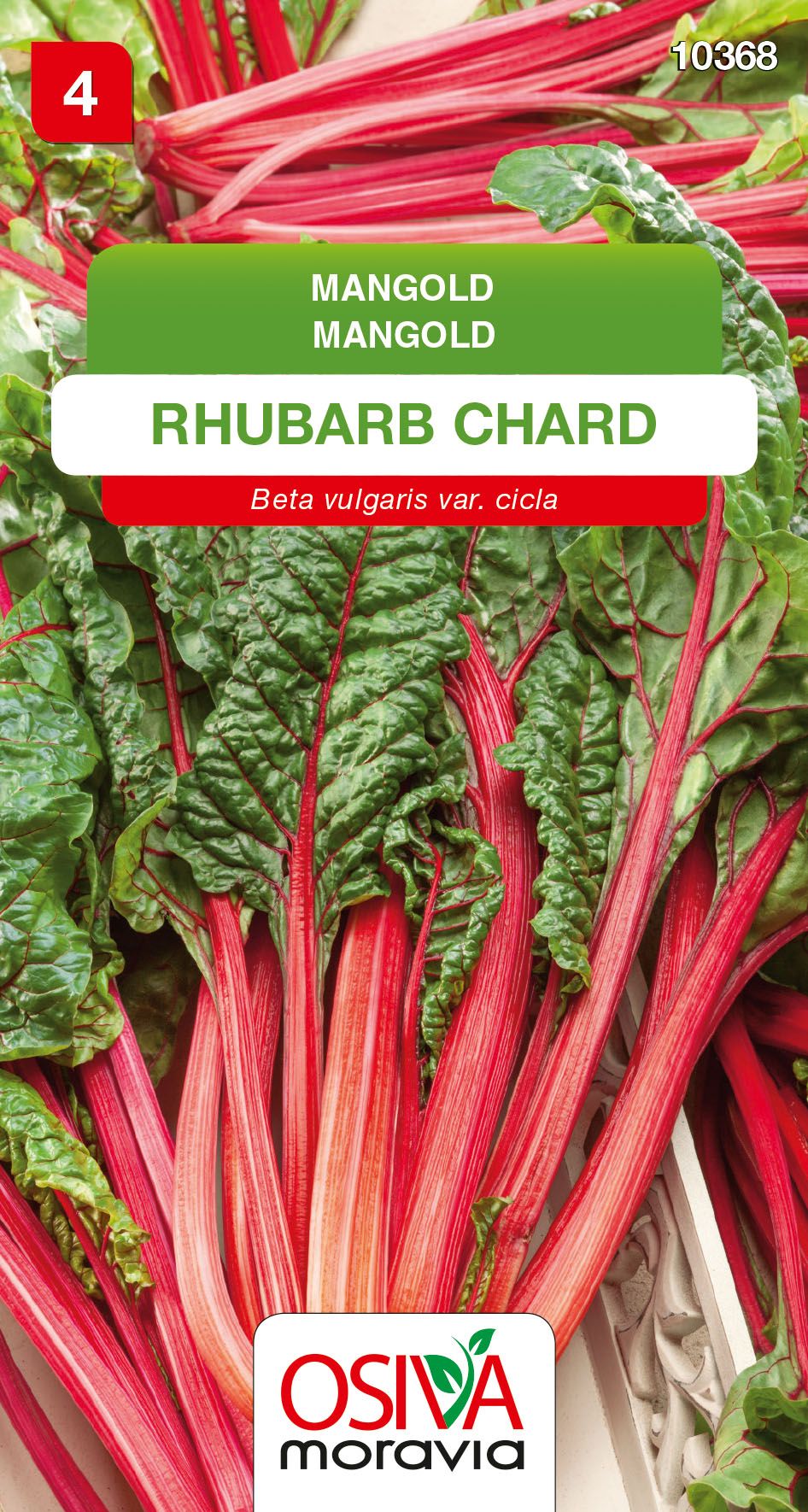 Mangold červený - Rhubarb Chard