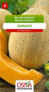 Meloun cukrový - Ananas
