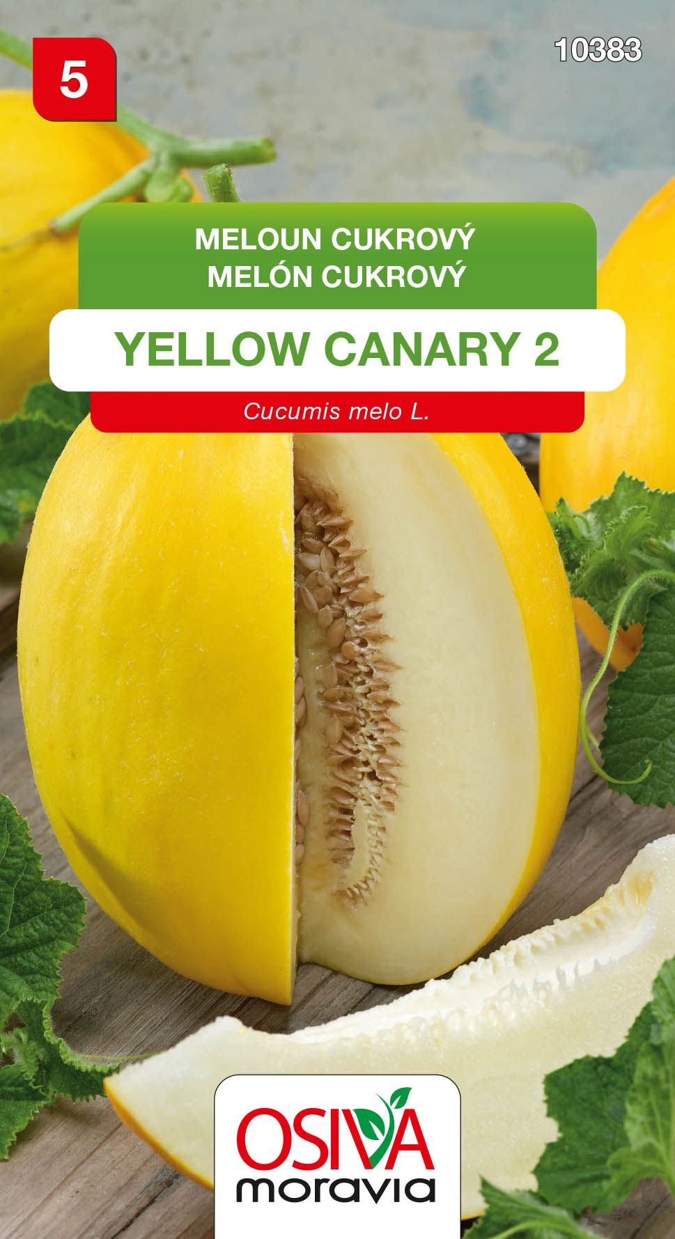 Melón cukrový - Yellow Canary 2