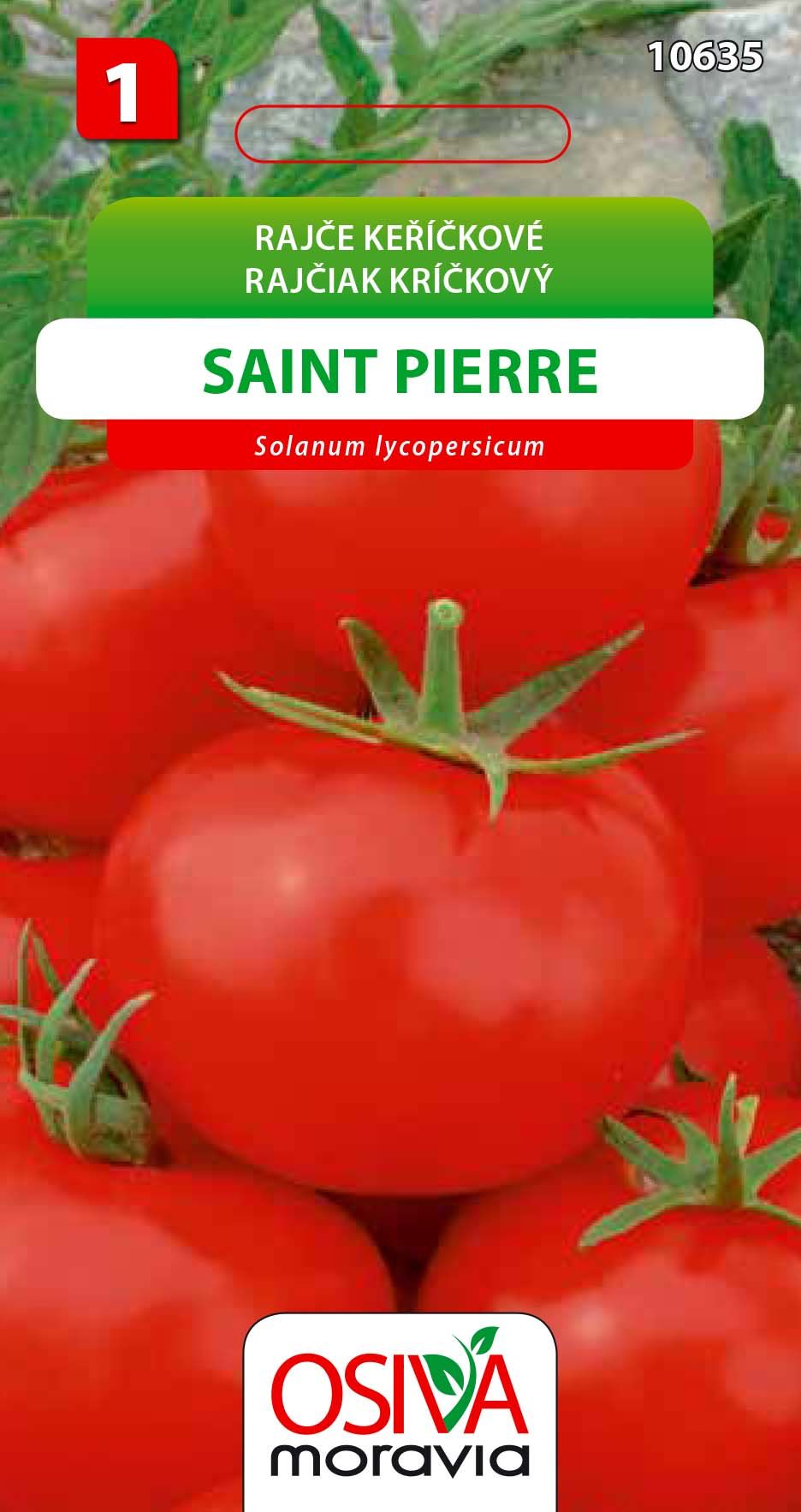 Rajče keříčkové - Saint Pierre