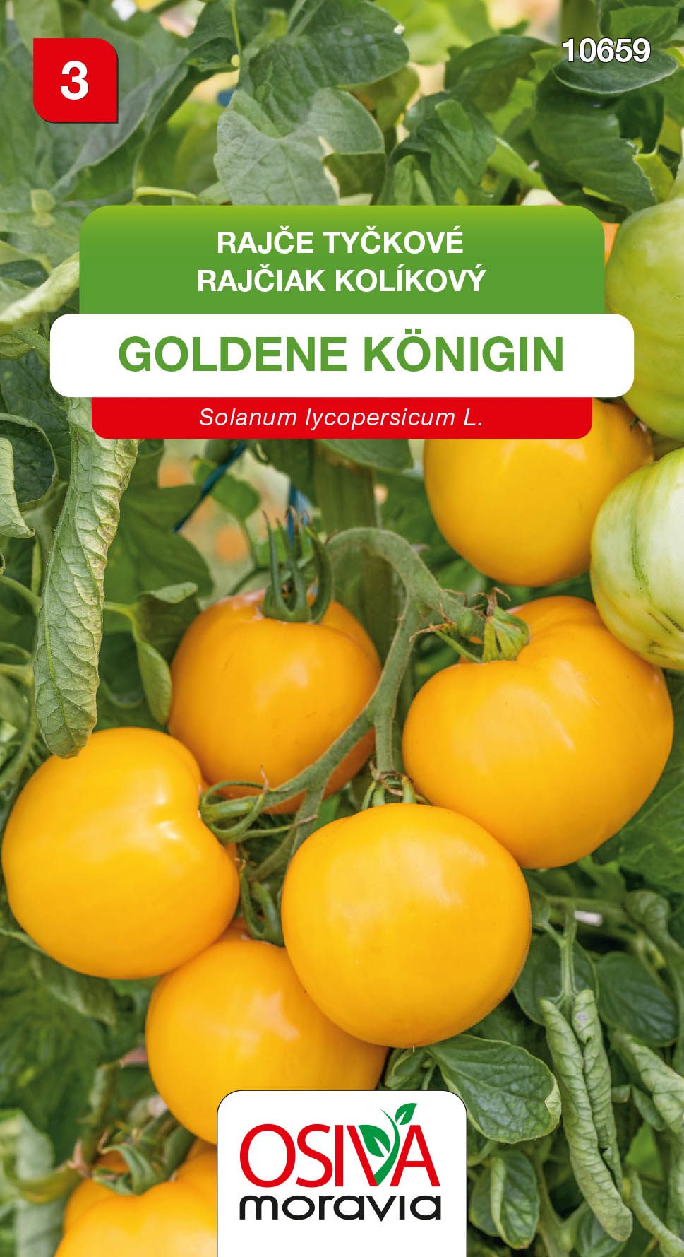 Rajčiak kolíkový - Goldene Konigin