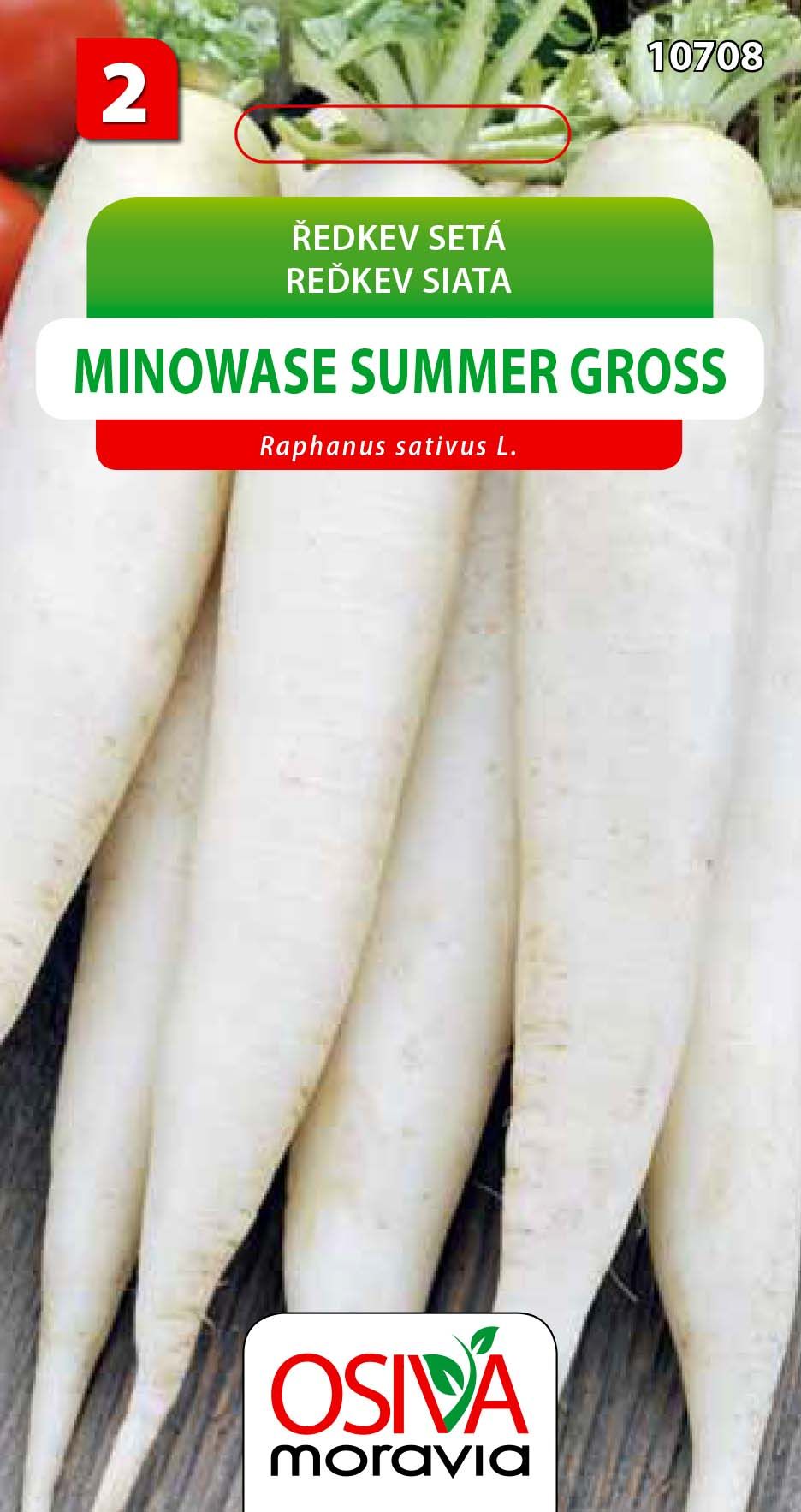 Ředkev - Minowase Summer Gross
