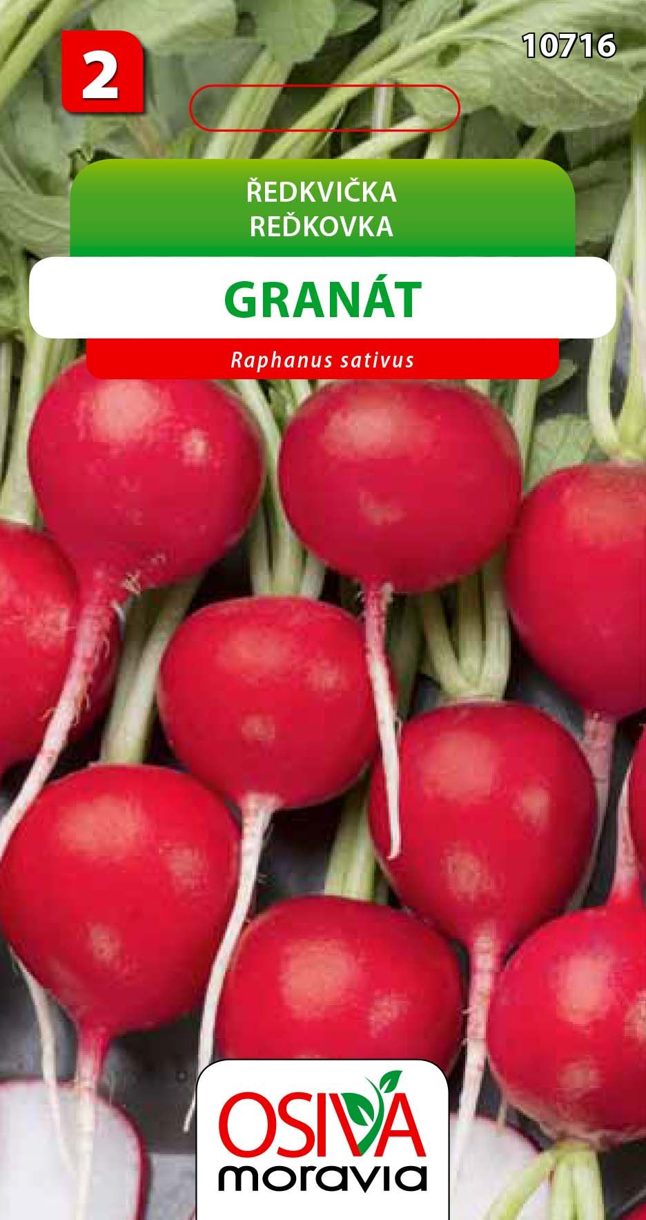 Ředkvička - Granát