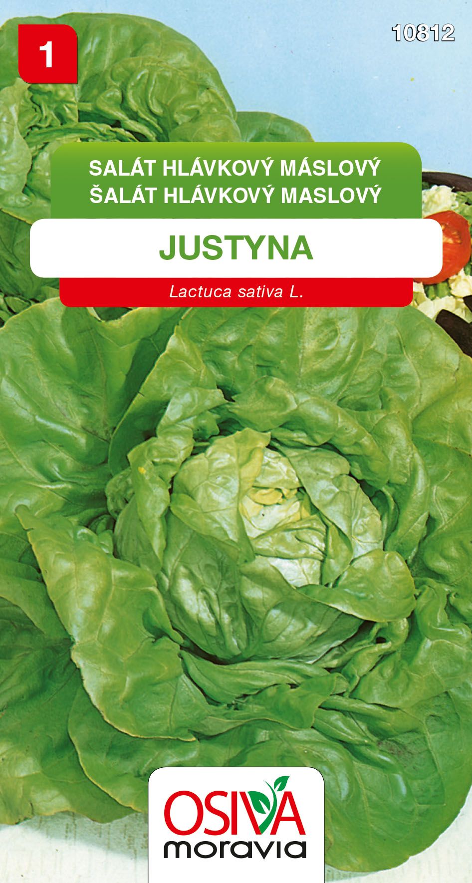Salát hlávkový - Justyna
