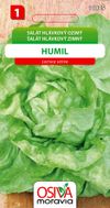 Salát hlávkový - Humil