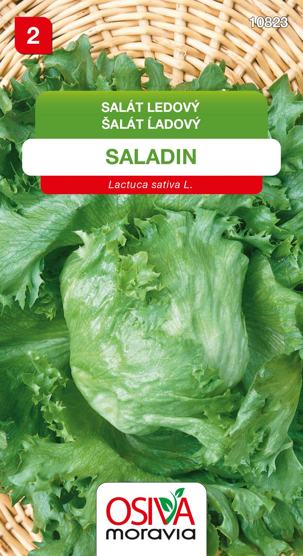 Šalát ľadový - Saladin