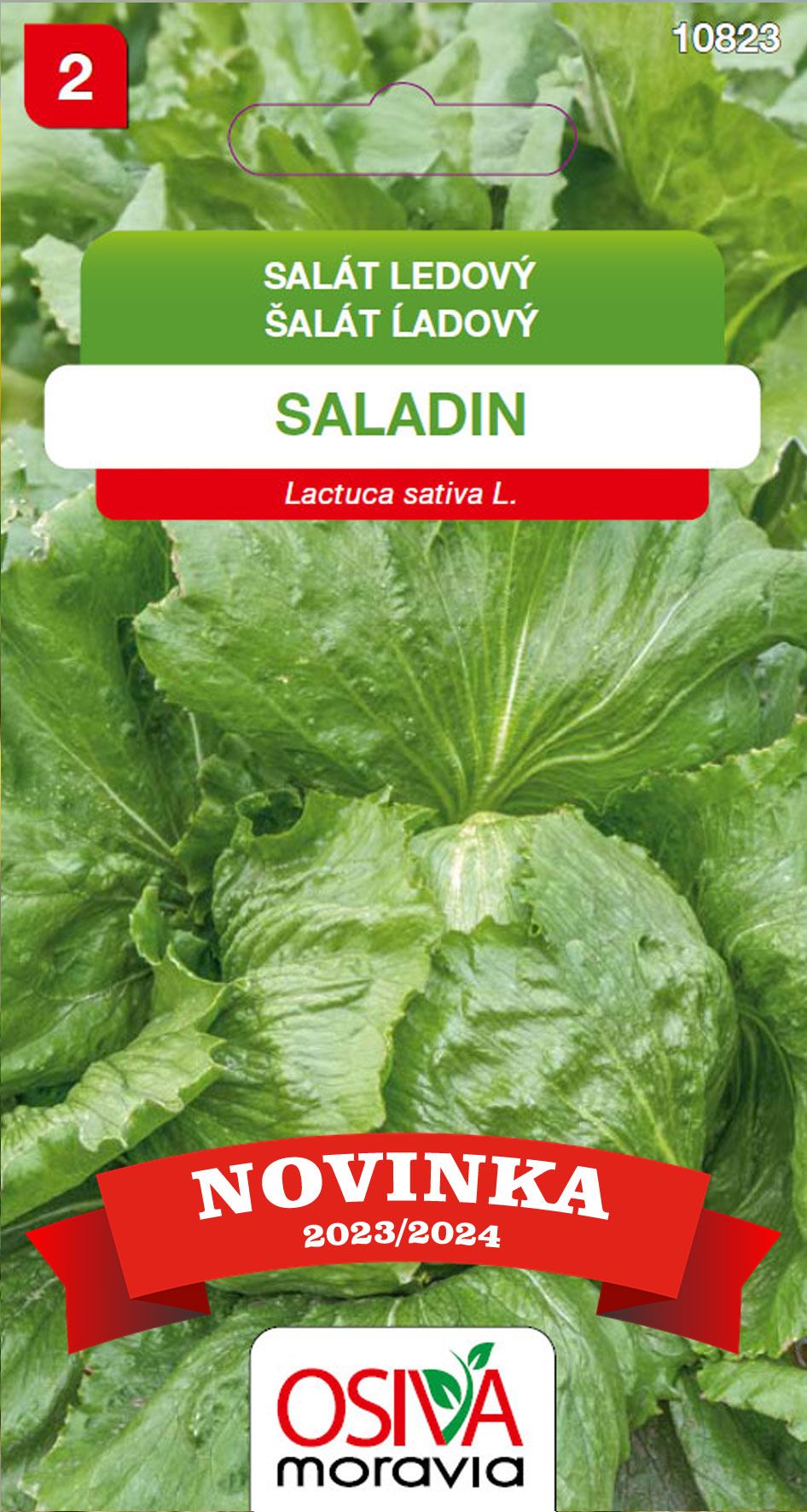 Salát hlávkový ledový - Saladin