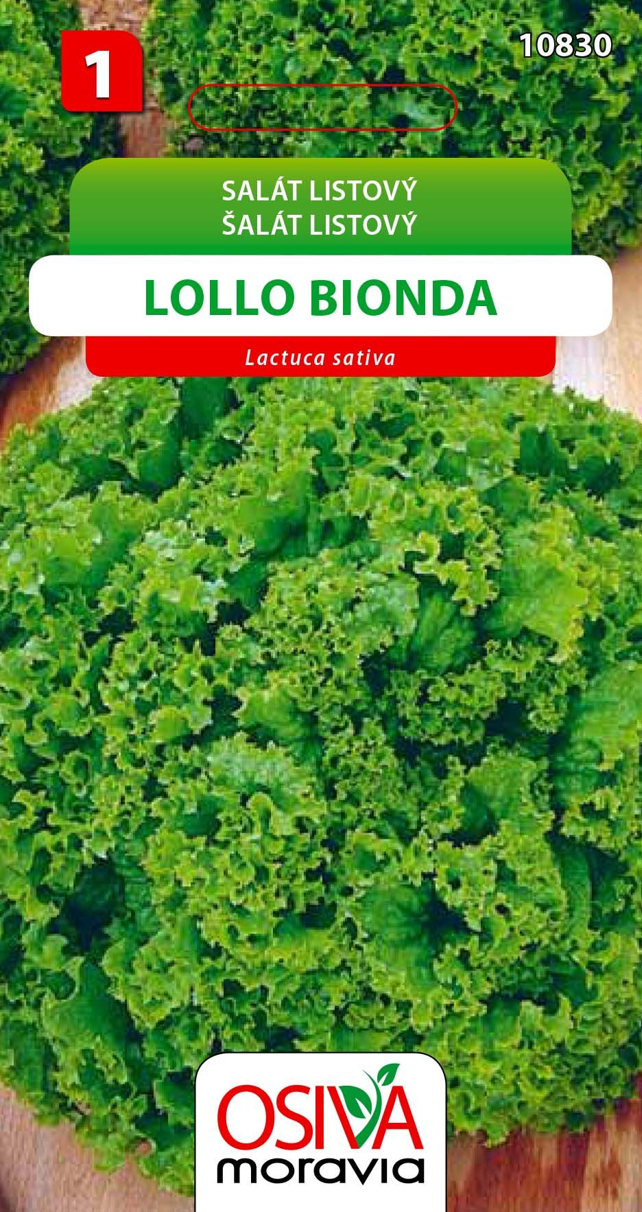 Salát listový - Lollo Bionda