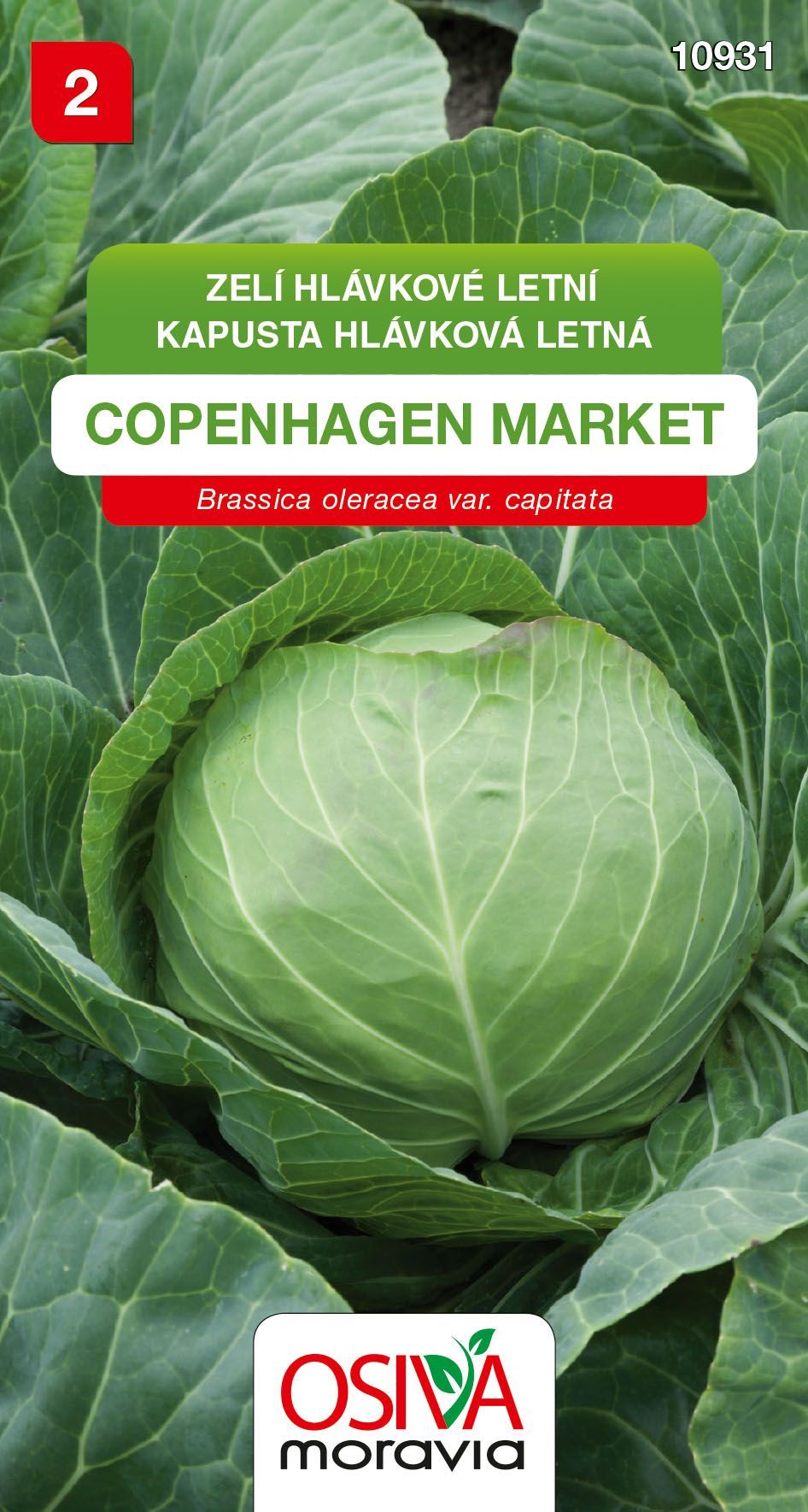 Zelí - Copenhagen Market 2