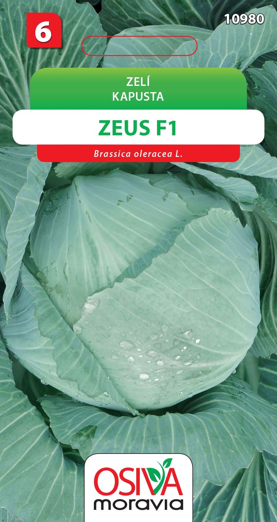 Zelí - Zeus F1