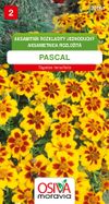 Aksamitník rozkladitý jednoduchý - Pascal
