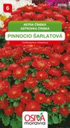 Astra čínská - Pinnocio Dwarf - šarlatový