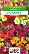Hledík větší nízký - Magic Carpet