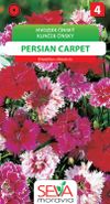 Hvozdík čínský - Persian Carpet