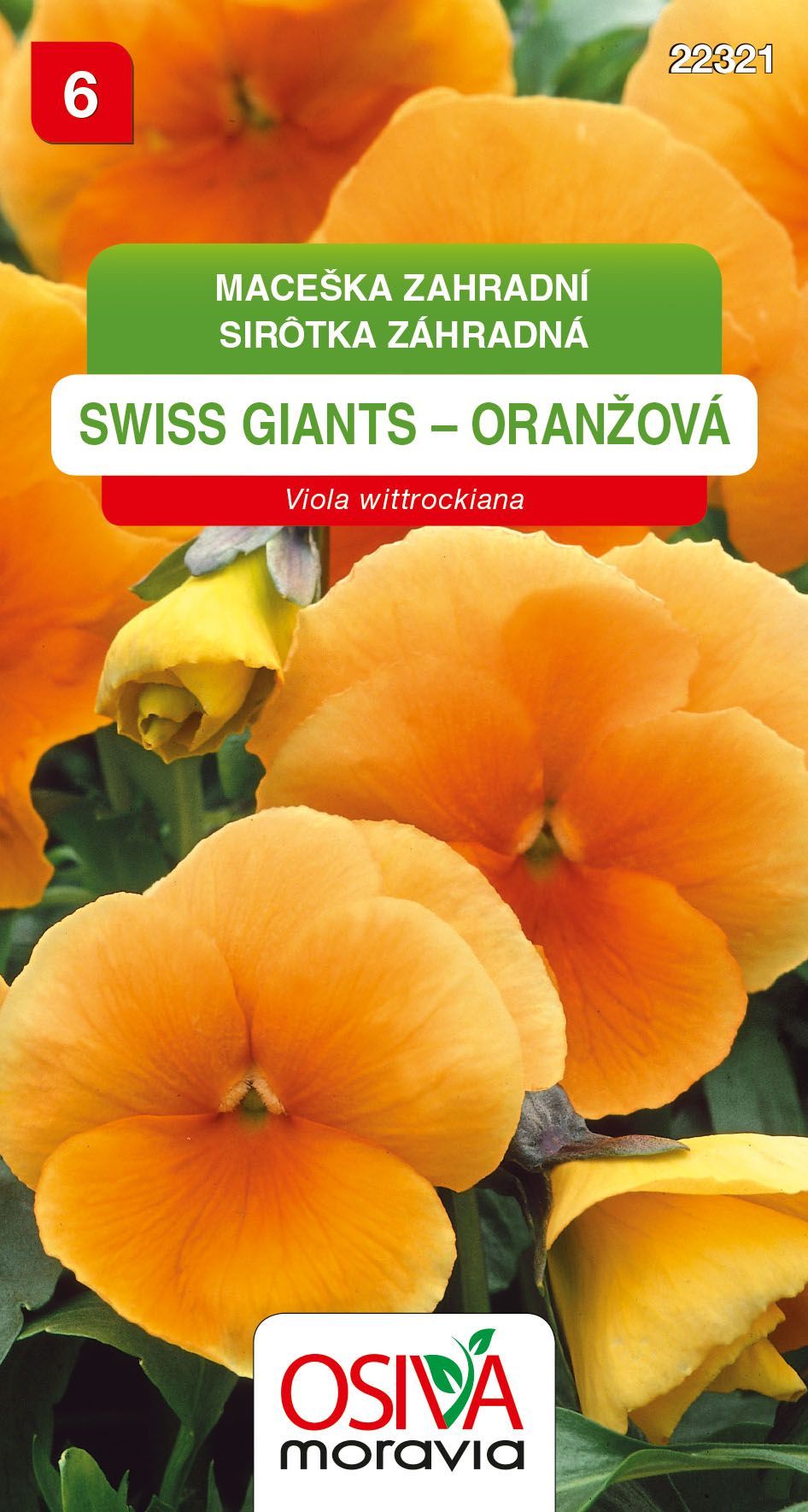 Maceška zahradní - Swiss Giants - oranžová