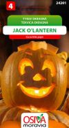 Tykev okrasná - Jack O'Lantern