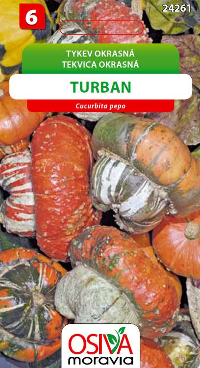 Tykev okrasná - Turban