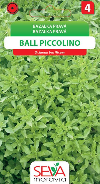 Bazalka pravá - Ball Piccolino