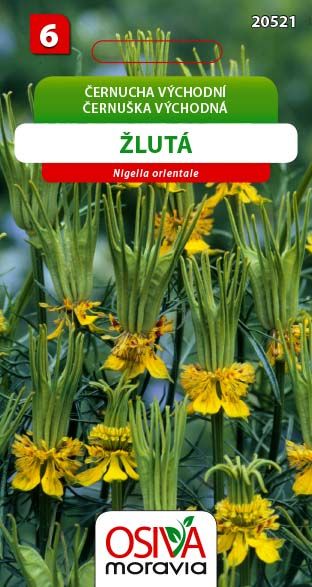  ernucha V chodn lut Osej cz