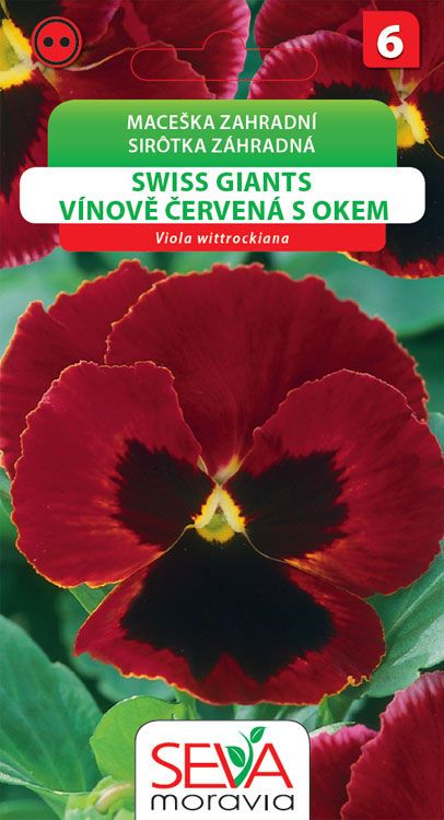 Mace ka Zahradn Swiss Giants V nov erv S Okem Osej cz